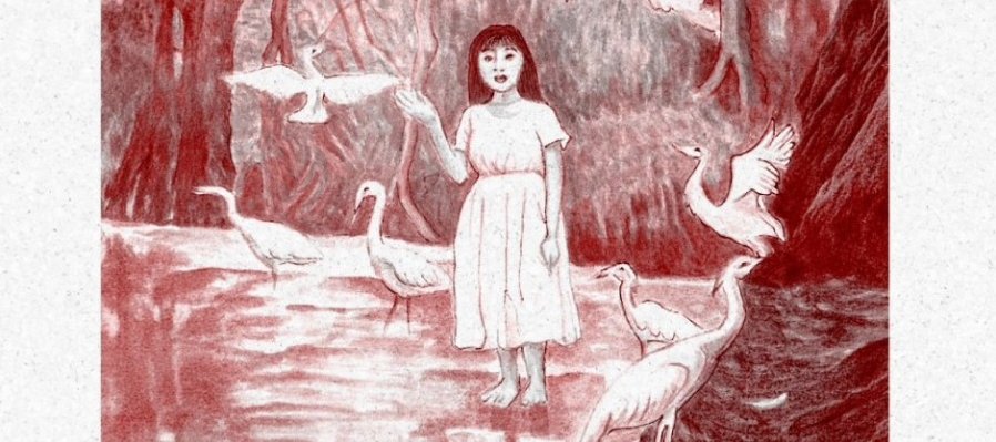 Ita y las garzas