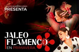 Imagen muestra de la actividad Jaleo flamenco