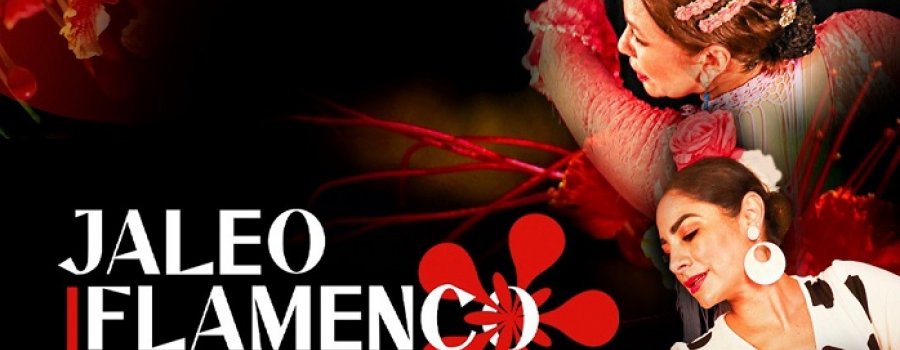 Jaleo flamenco