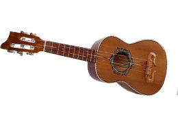 Jarana Multinivel