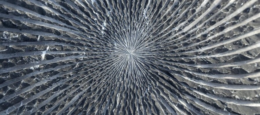 Jardín escultórico