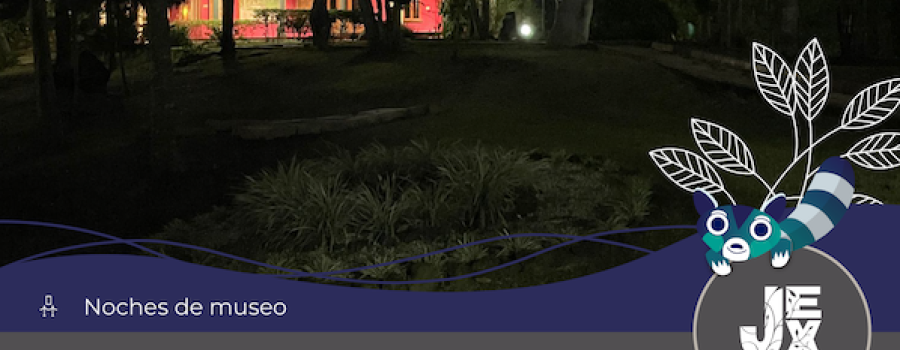 Recorridos nocturnos.