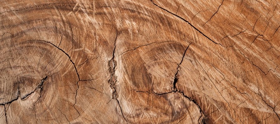 Juguete de colección