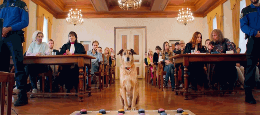 El juicio de un perro