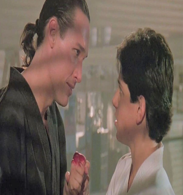 Imagen muestra de la actividad Karate Kid 3
