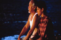 Imagen muestra de la actividad Karate Kid 2