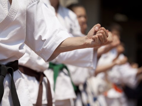 Karate do