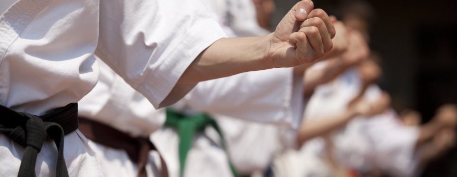 Karate do