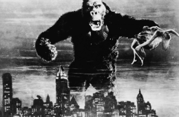 Imagen muestra de la actividad King Kong
