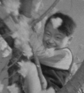 Imagen muestra de la actividad: Koibumi