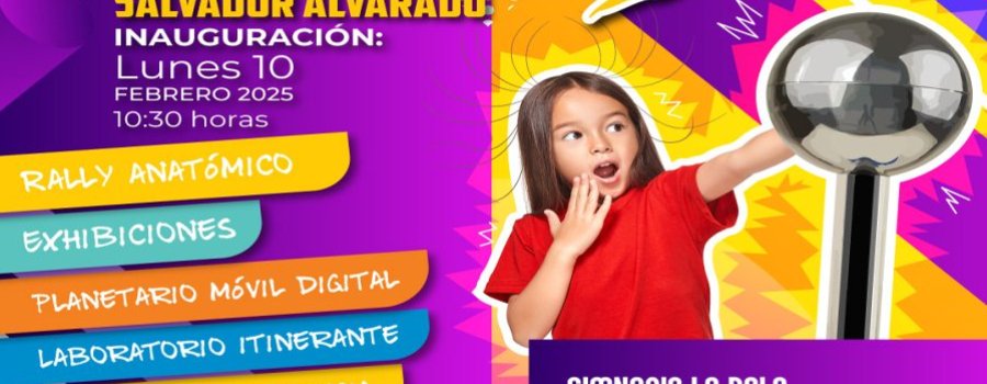 Guamúchil Salvador Alvarado