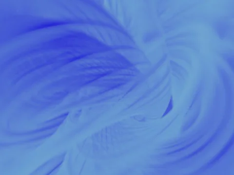 La canción del eterno universo