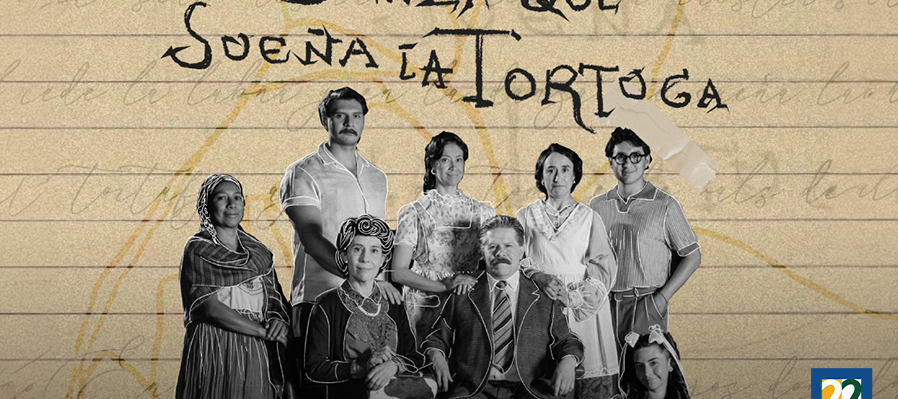 La danza que sueña la tortuga