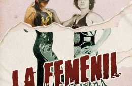 Imagen muestra de la actividad La Femenil, la lucha no acaba...