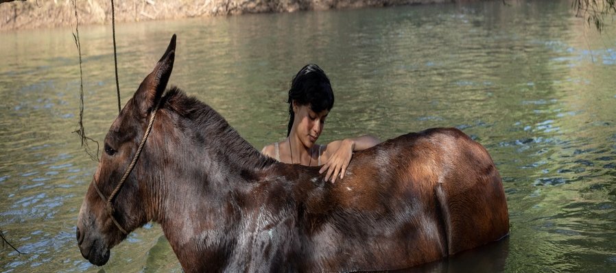 La Arriera