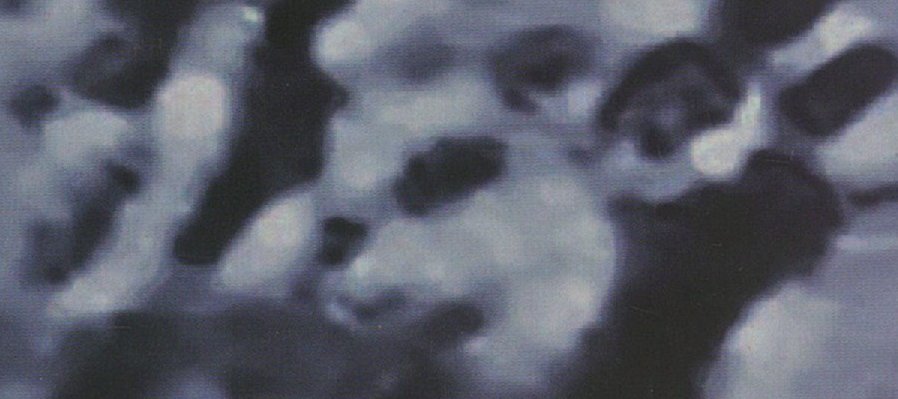 La atlántida al descubierto