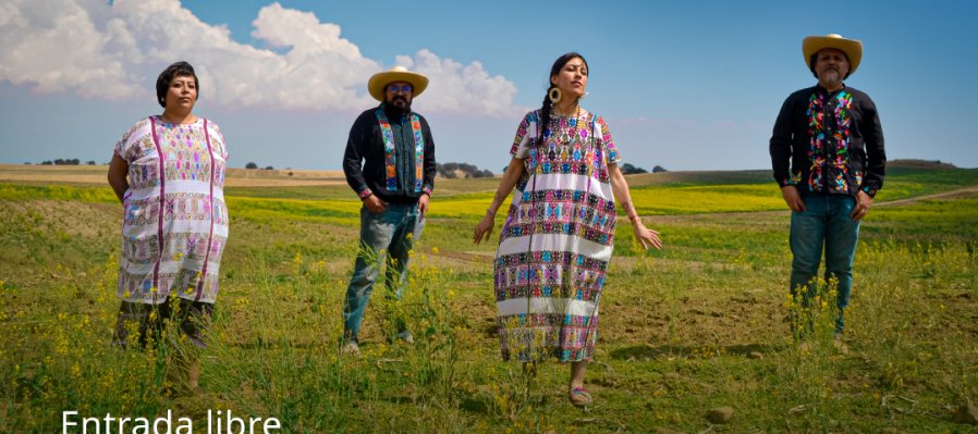 La Cosecha de Sembrando Grupo invitado Tradición Fandanguera