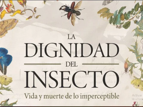 La dignidad del insecto
