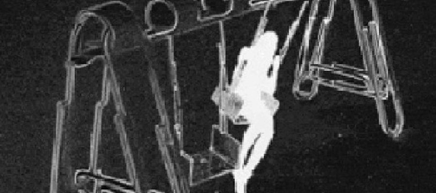 La ensoñación como práctica de resistencia