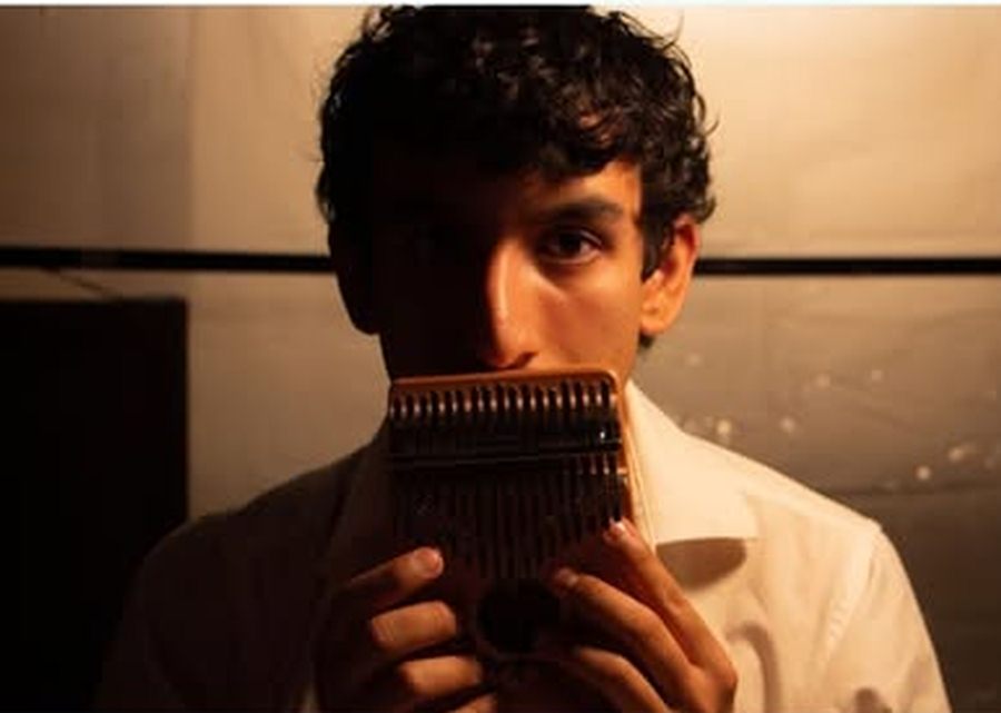 Imagen muestra de la actividad La huelga de los bigotes