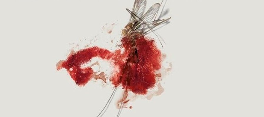 La infancia del mundo