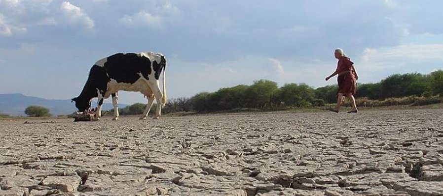 La leche y el agua