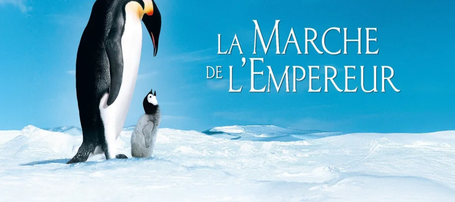 La marcha de los Pingüinos