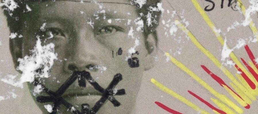 La memoria de las mariposas