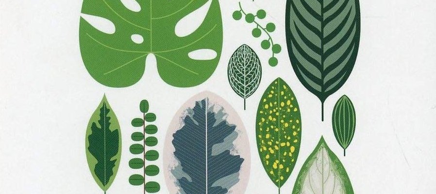 Entre páginas y calles