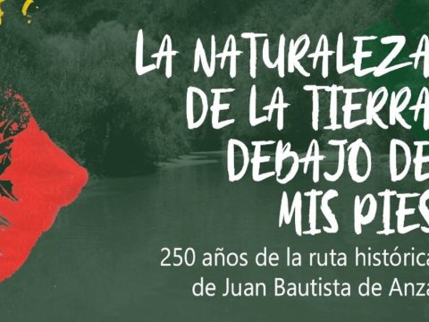 La naturaleza de la tierra debajo de mis pies