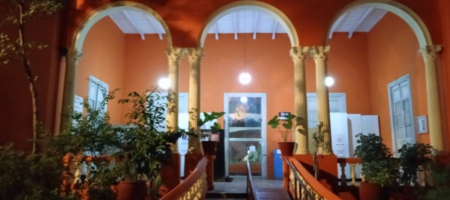 La Noche Blanca en el Museo de Historia Natural
