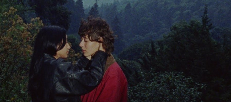 La nube en el jardín