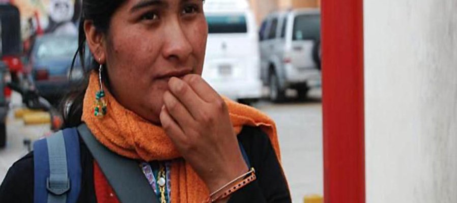 La pequeña semilla en el asfalto