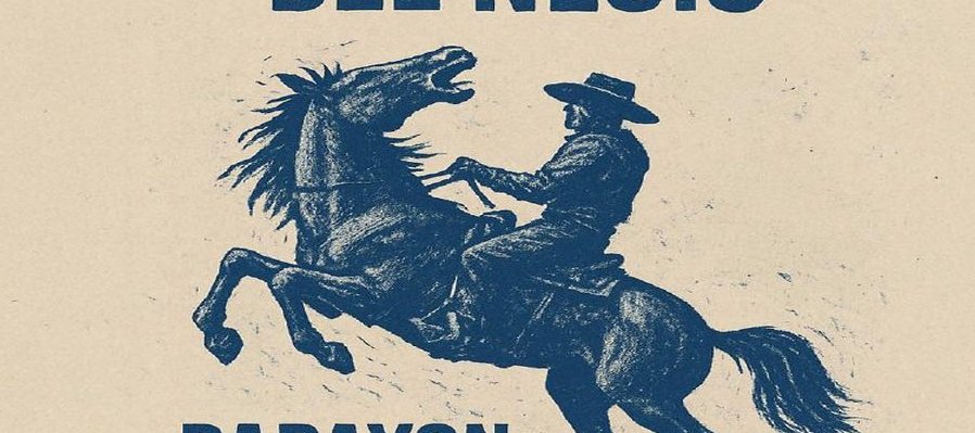 La persistencia del necio