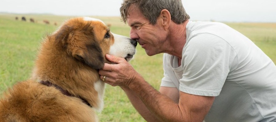 La razón de estar contigo