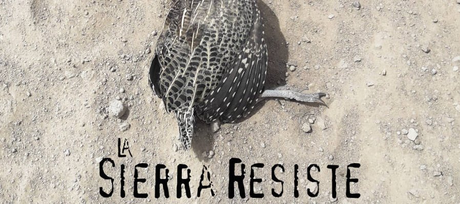 La Sierra Resiste
