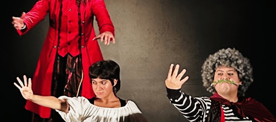 La sirvienta patrona