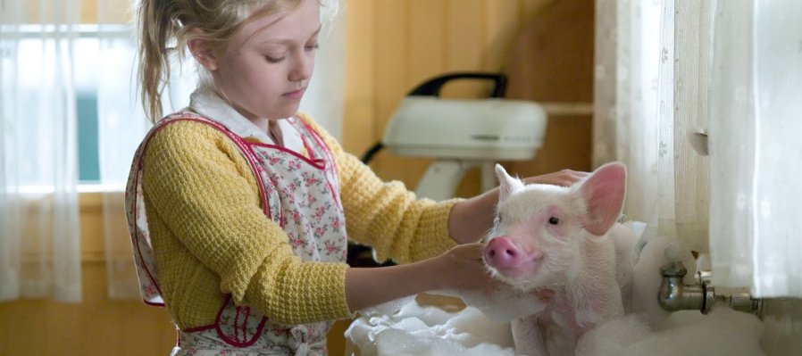 La telaraña de Charlotte