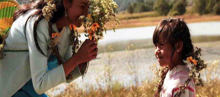 La tiricia o cómo curar la tristeza