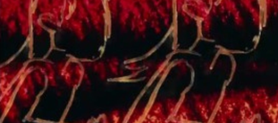 Laboratorio de animación expandida