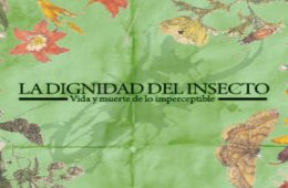 Imagen muestra de la actividad Dignidad del insecto: vida y muerte de lo imperceptible