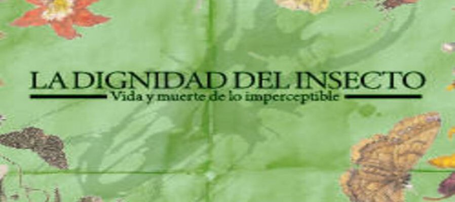 Dignidad del insecto: vida y muerte de lo imperceptible