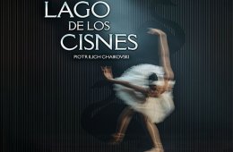 Imagen muestra de la actividad Lago de los cisnes