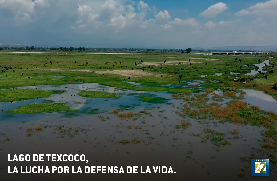 Lago de Texcoco, la lucha por la defensa de la vida