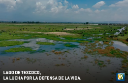 Imagen muestra de la actividad: Lago de Texcoco, la lucha por la defensa de la vida