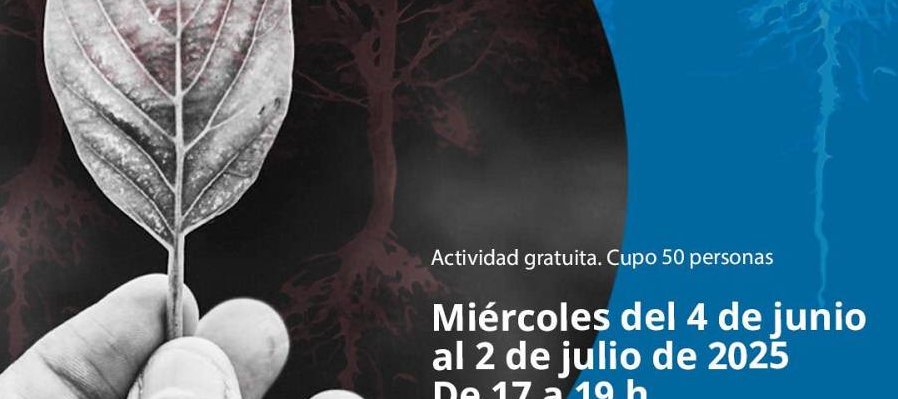 La lluvia de la ecopoesía en México: teorías, prácticas y voces