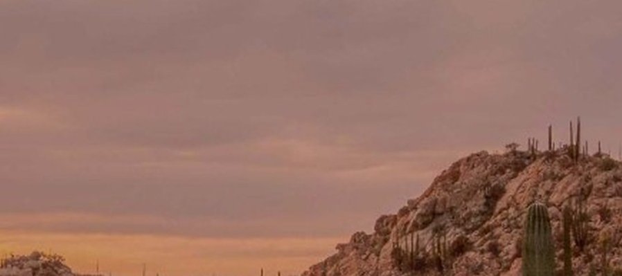 Las cuatro estaciones de Calafia