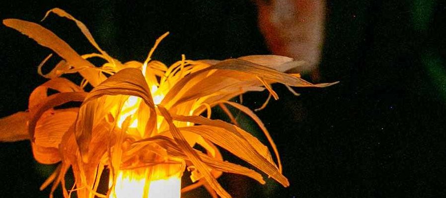 Las fiestas del pueblo murciélago