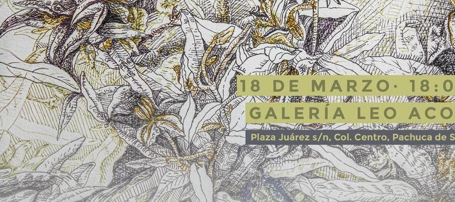 Las plantas quieren decirnos algo