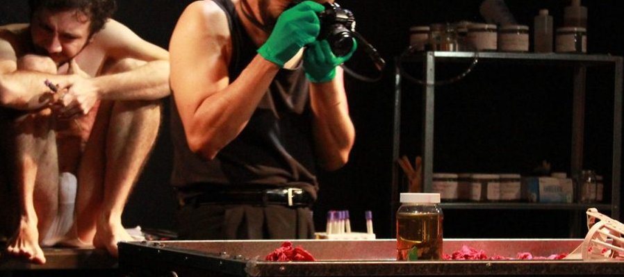 La caducidad de la lavanda